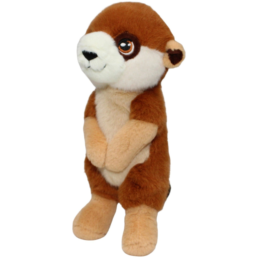 Süßes Erdmännchen, stehend