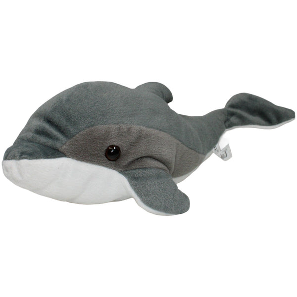 Schöner Delfin