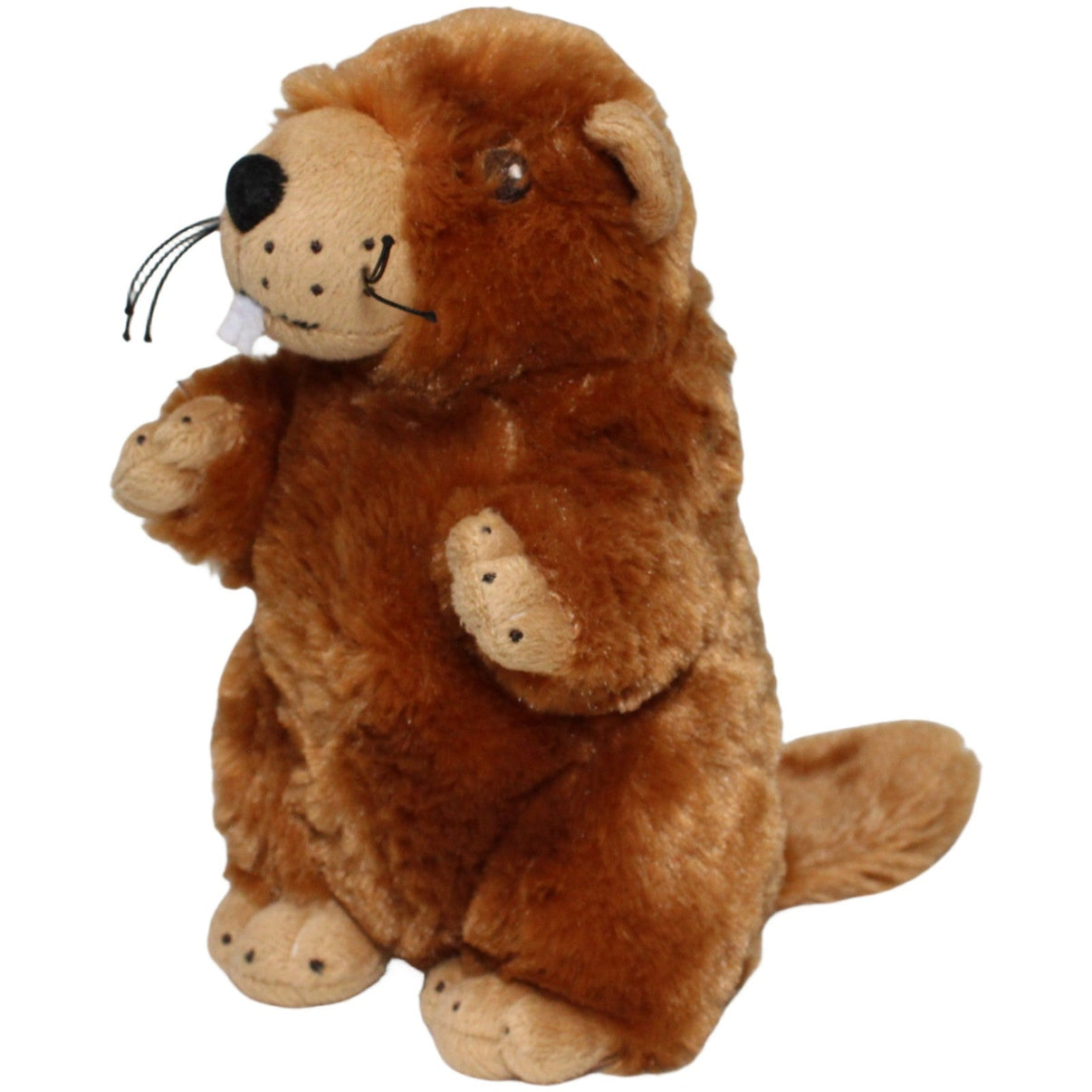 123000022014 Promotion Pets DENTAURUM, Biber Kuscheltier Kumpel Leo 20cm Biber Braun