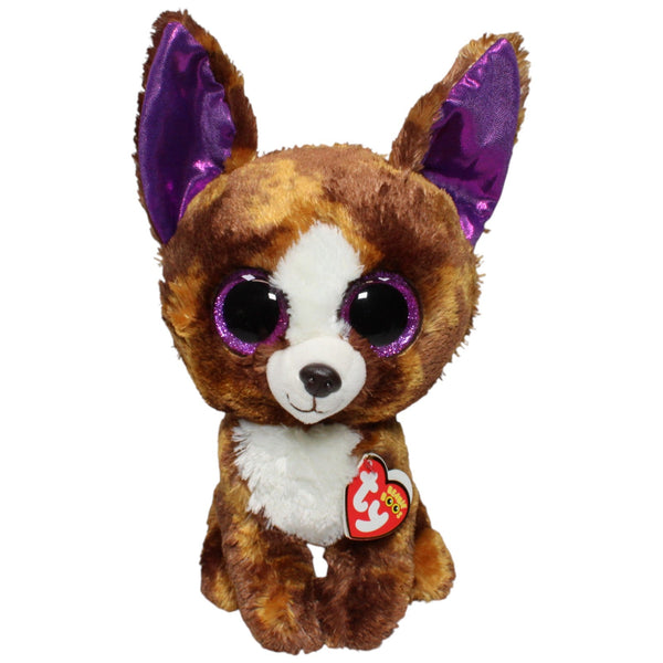 Beanie Boos, Chihuahua Dexter