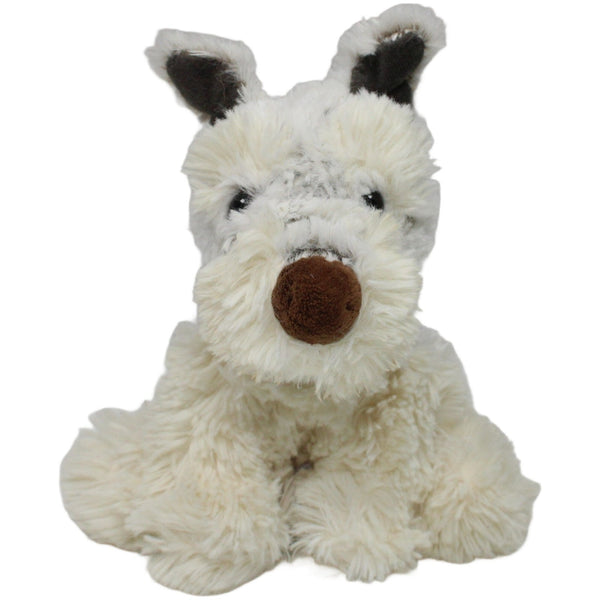 Süßer Schnauzer, sitzend
