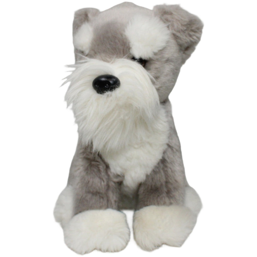 Grauer Schnauzer, sitzend