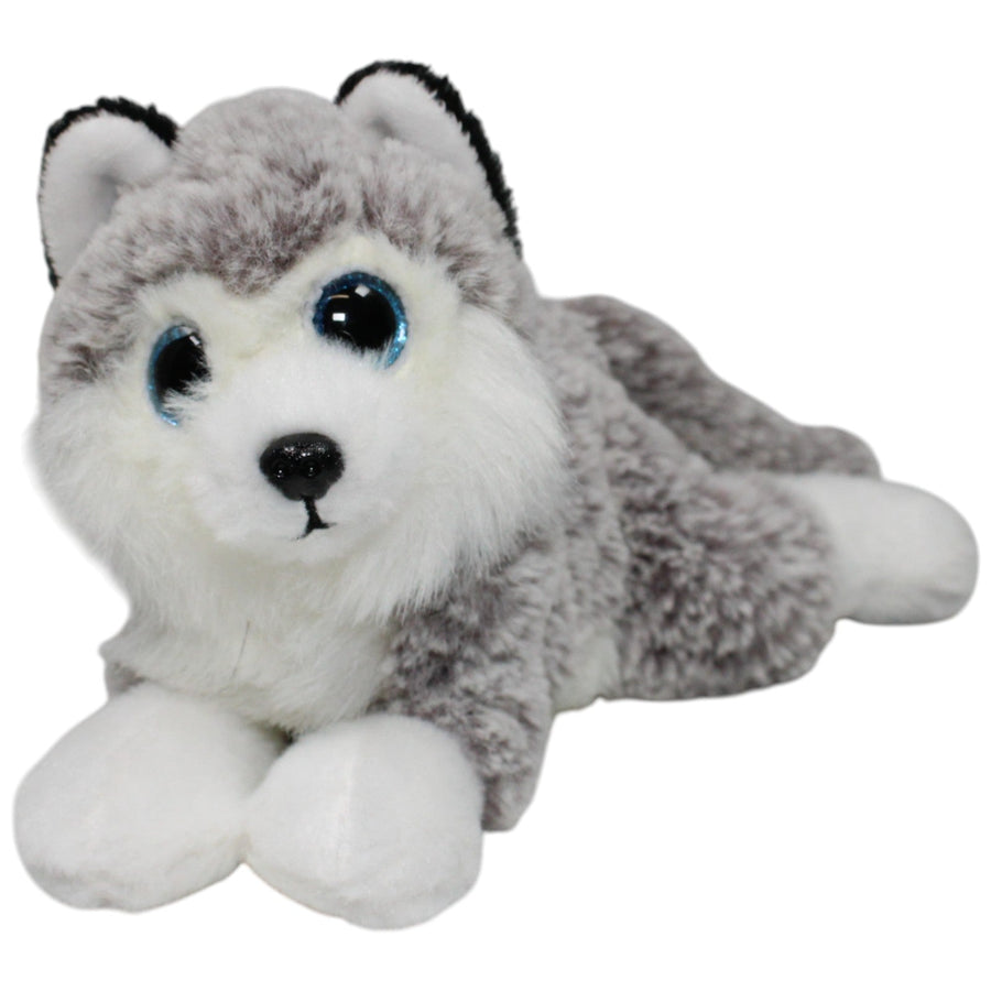 Husky Baltic, liegend