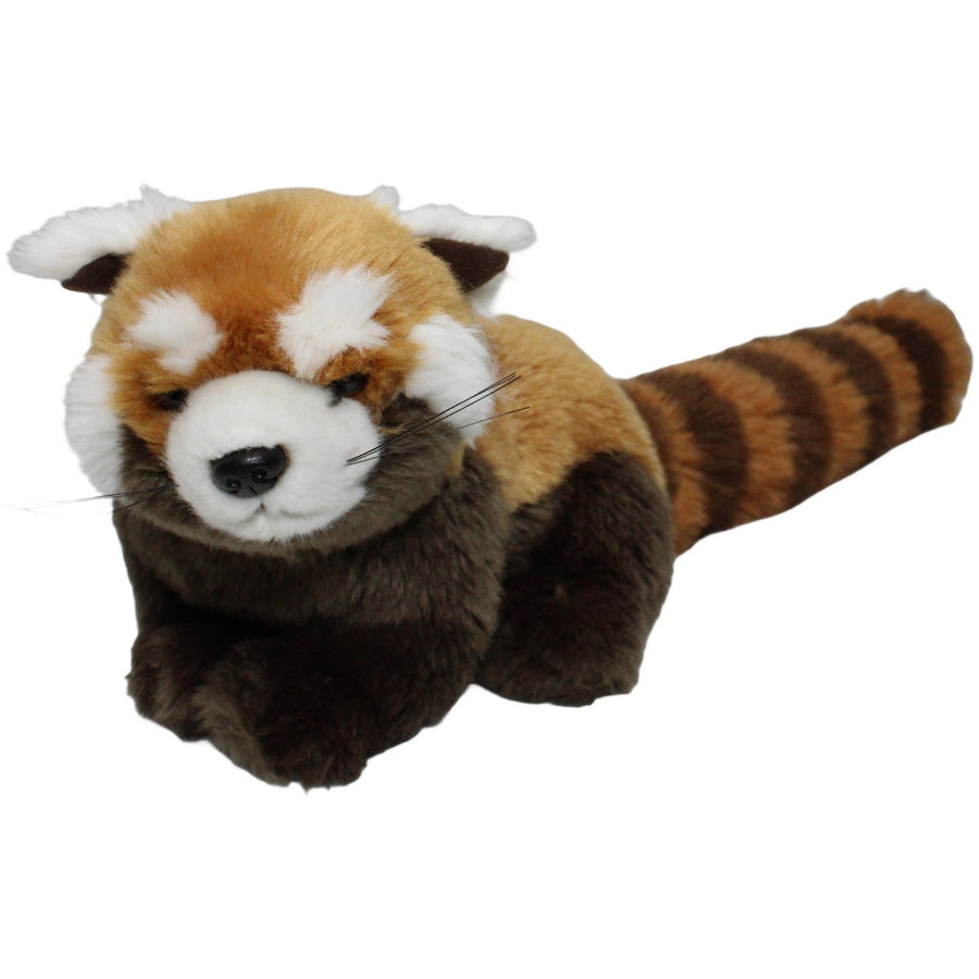 Schöner roter Panda