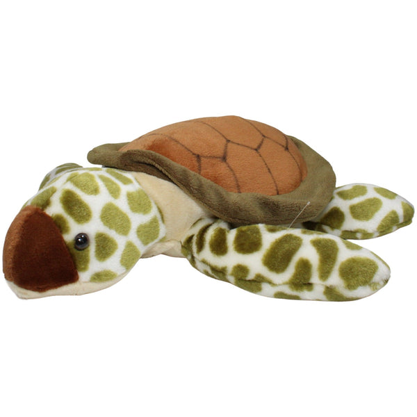 Schildkröte, groß