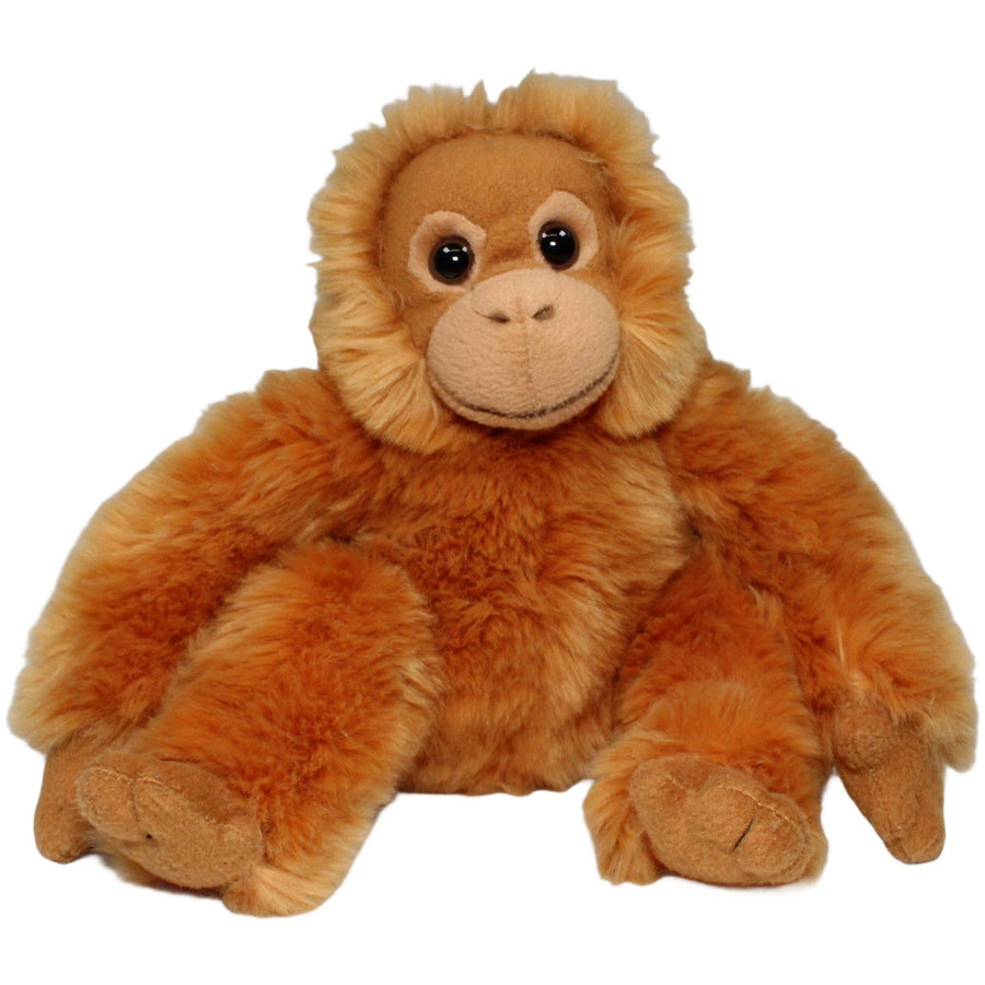 Schöner Orang-Utan