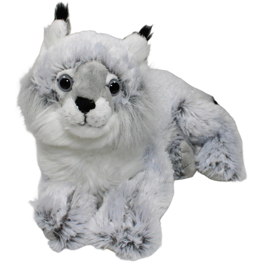 Schöner grauer Luchs, liegend