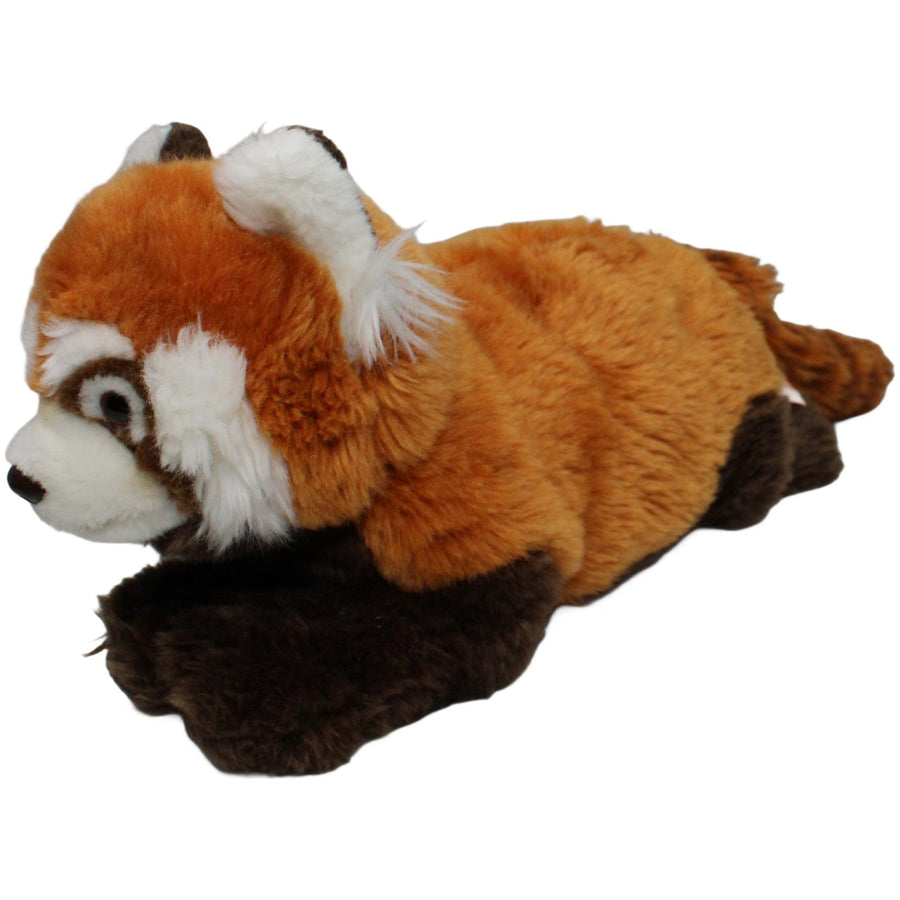 Großer Roter Panda, liegend