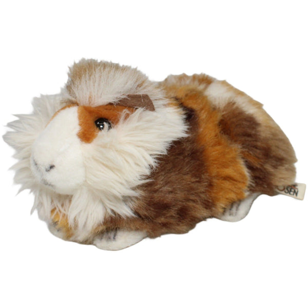 KÖSEN, mehrfarbiges Langhaar-Meerschweinchen