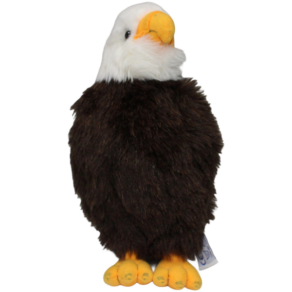 Schöner Weißkopf-Seeadler
