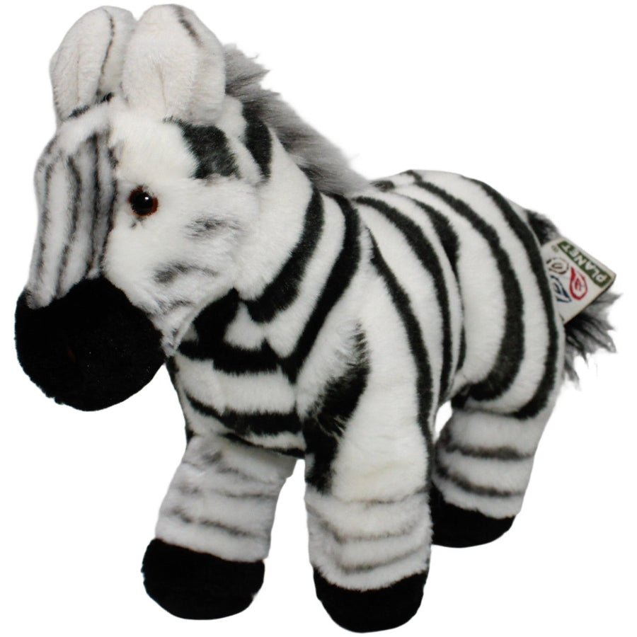 Plan, stehendes Zebra
