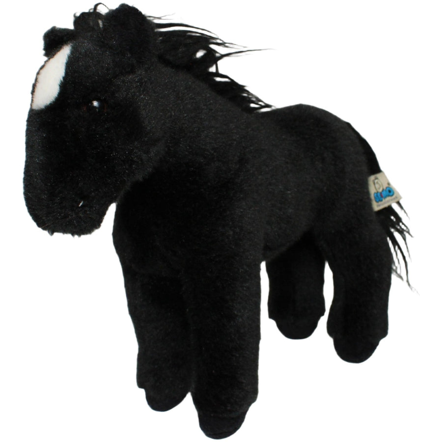 Hübsches schwarzes Pferd, stehend