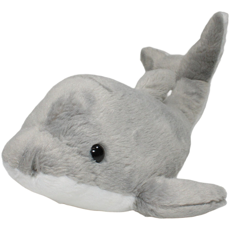 Schöner Delfin, groß