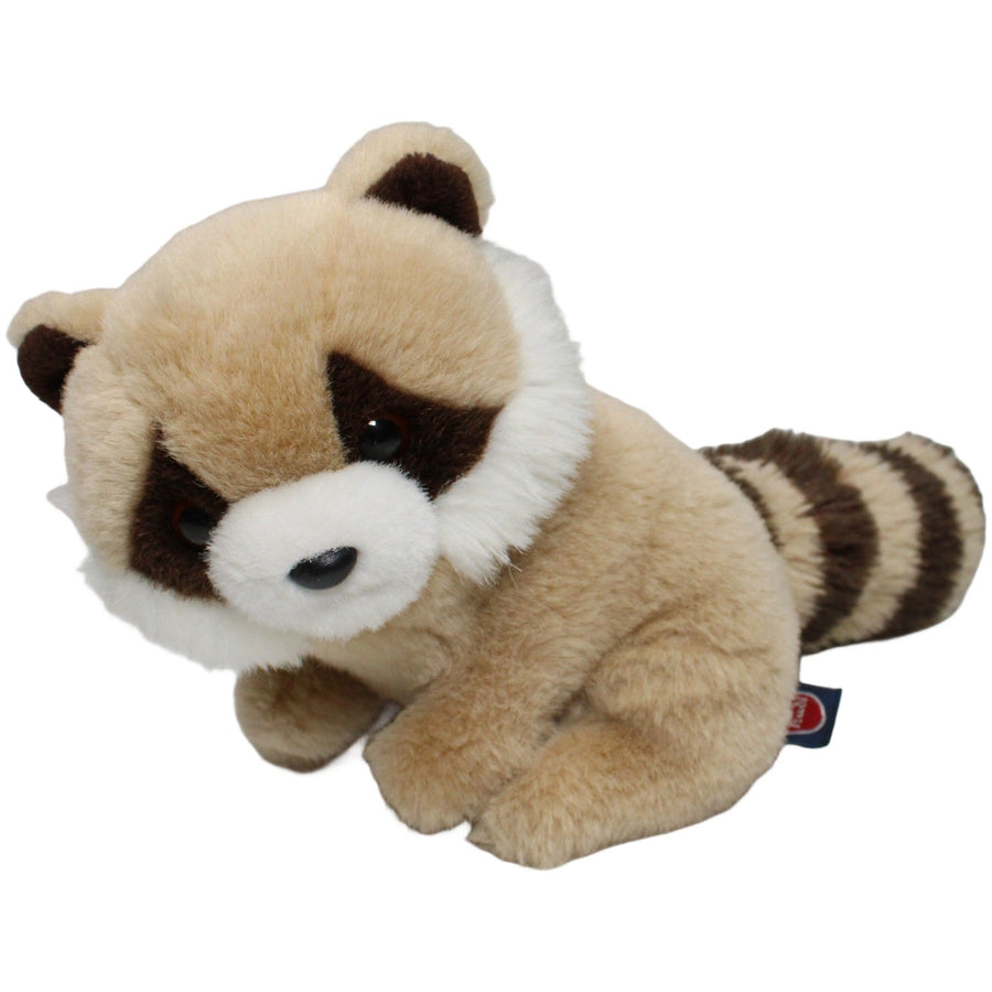 Süßer Waschbär, hellbraun