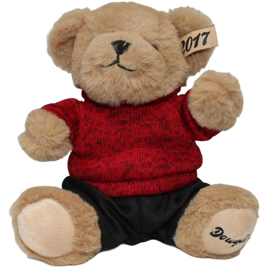 Teddybär mit Pulli & Hose, 2017