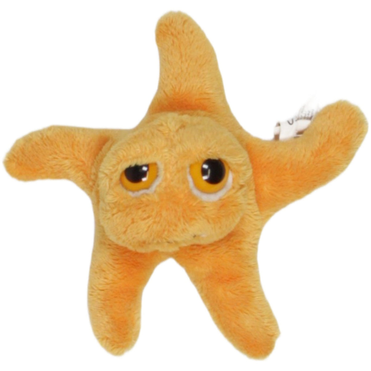 123000023198 Suki Gifts Seestern Astro, klein Kuscheltier Kumpel Leo 15cm ebay - stofftiere Gebraucht