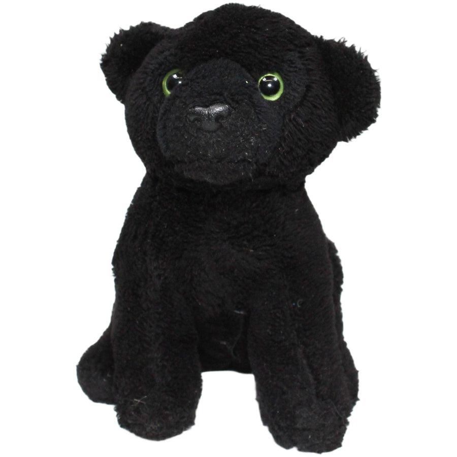 Leosco, Schwarzer Panther mit Sound