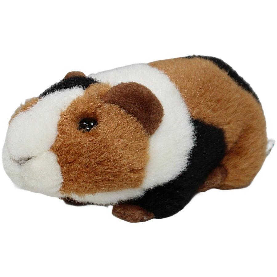Süßes dreifarbiges Meerschweinchen