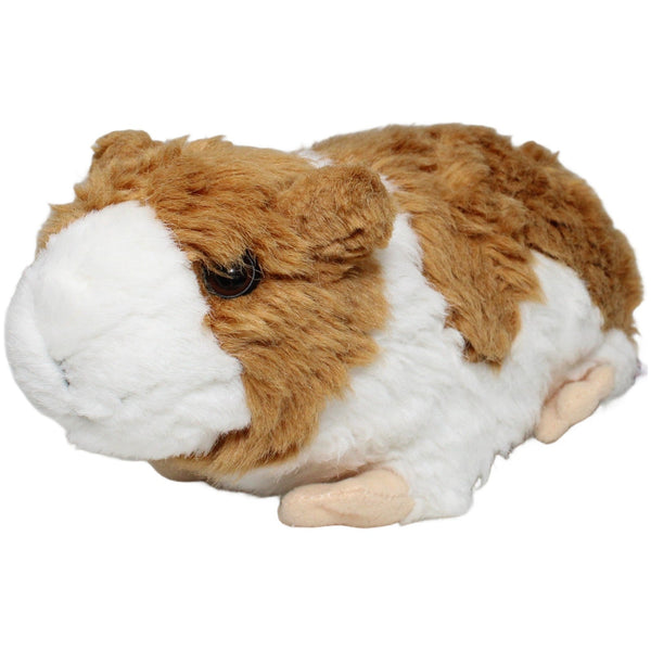 Meerschweinchen, braun-weiß