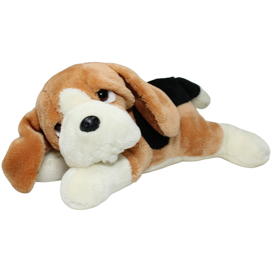 Schöner Basset Hound, liegend