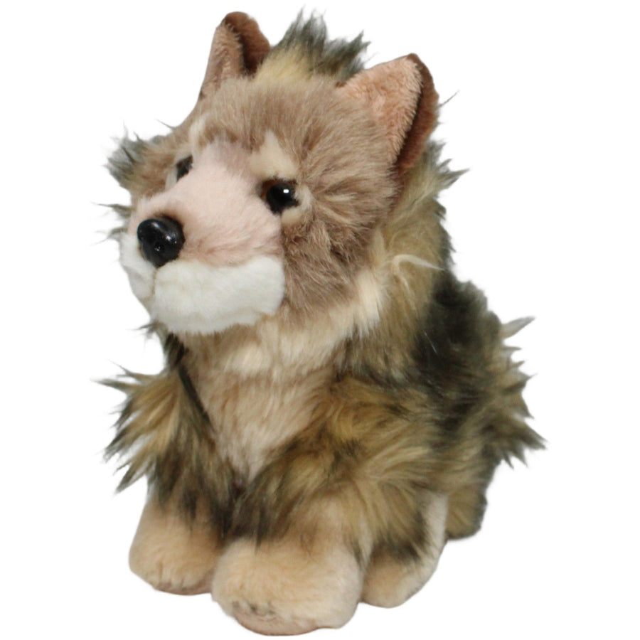Schöner Wolf