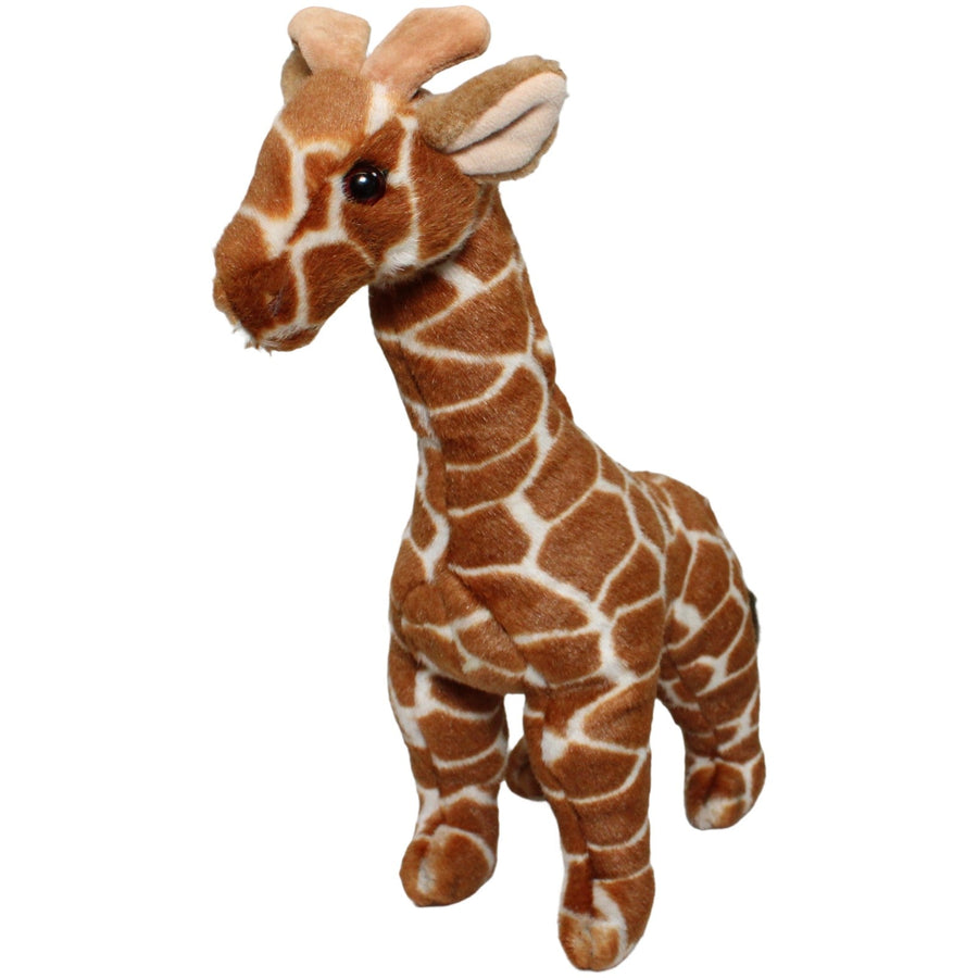 Schöne Giraffe
