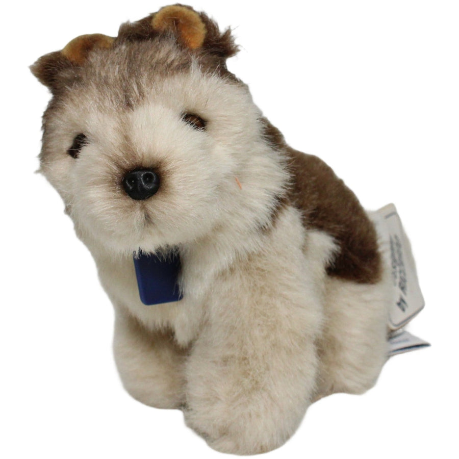 Kleiner Husky