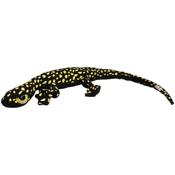 Langer Gecko, schwarz mit gelben Punkten