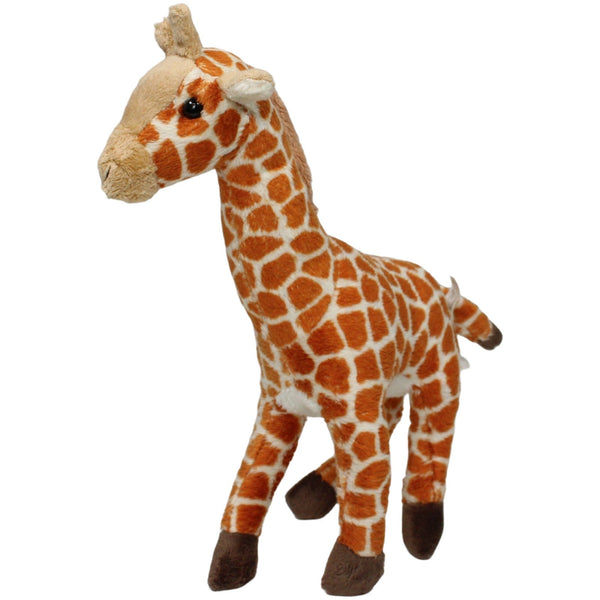 Schöne Giraffe