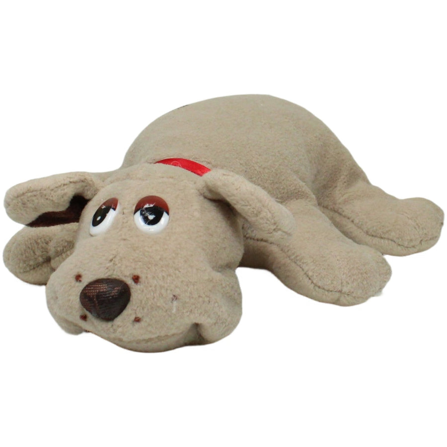Wauzi, liegender Hund mit rotem Halsband