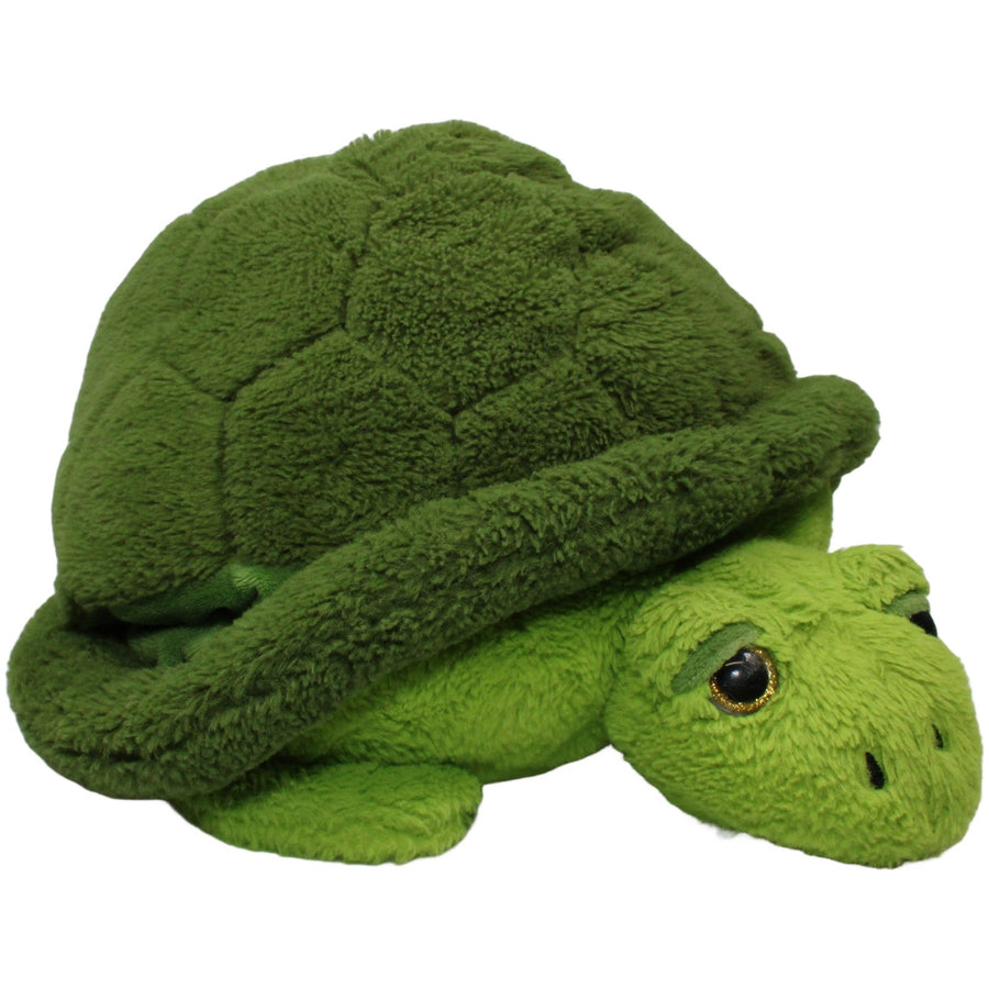 Runde Schildkröte