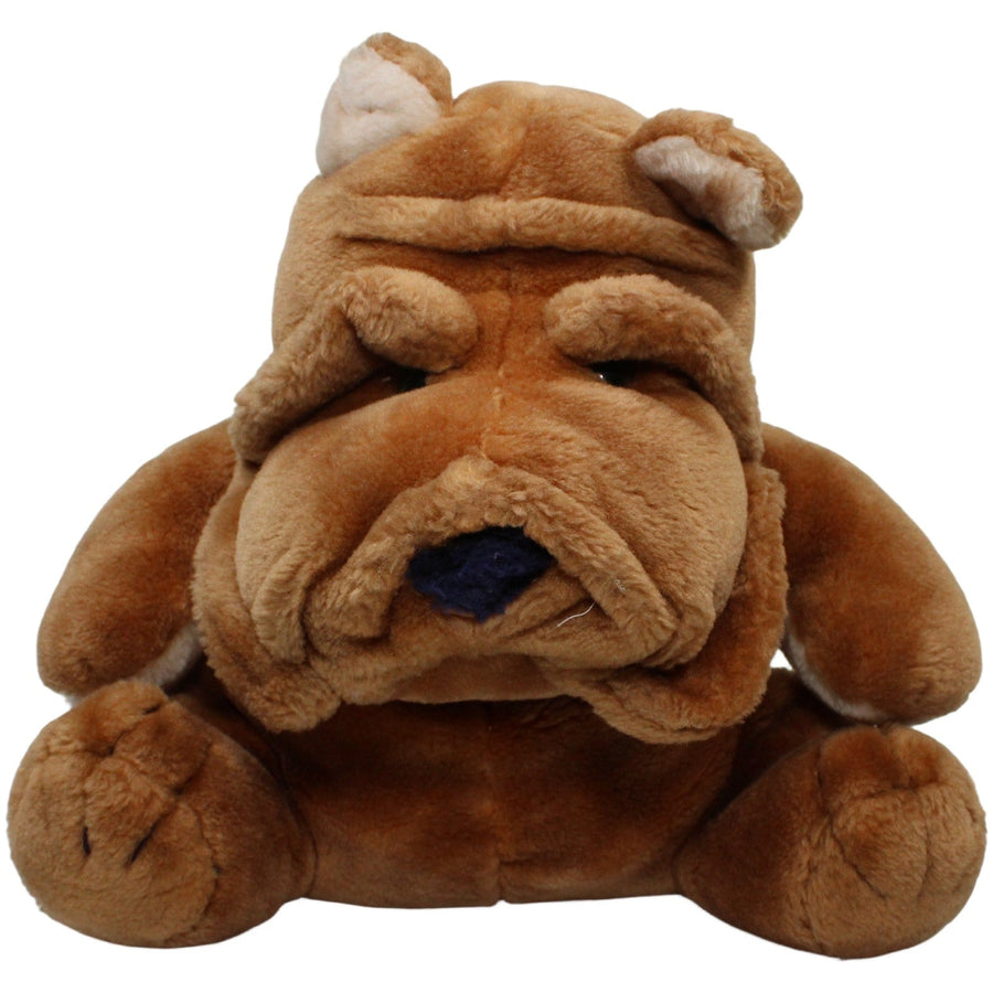 Süße braune Bulldogge, sitzend