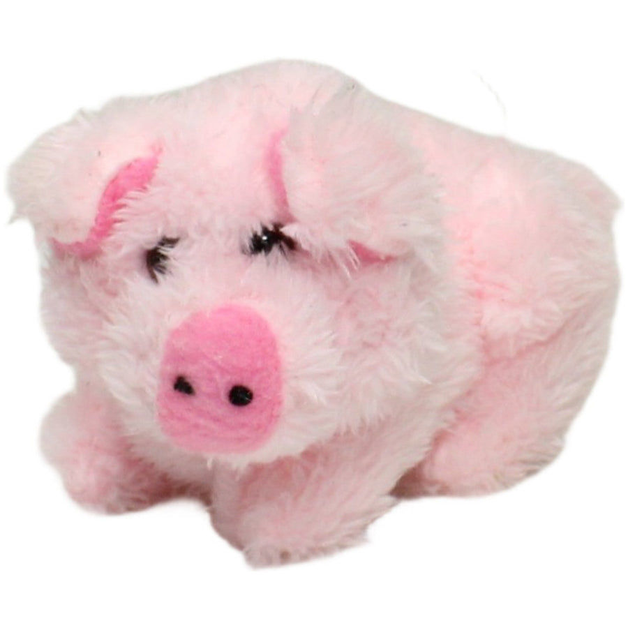 Süßes kleines Schwein