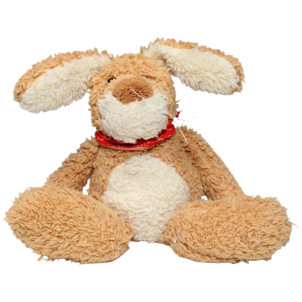 Hase