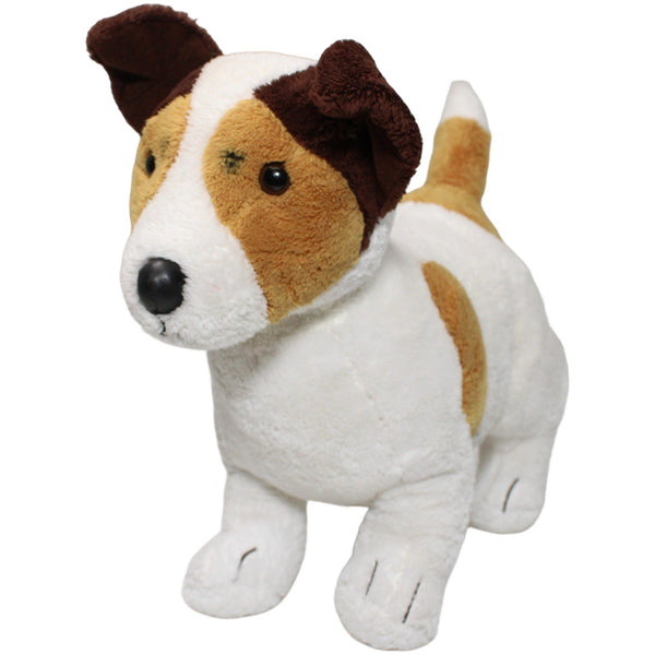 Terrier, braun-weiß