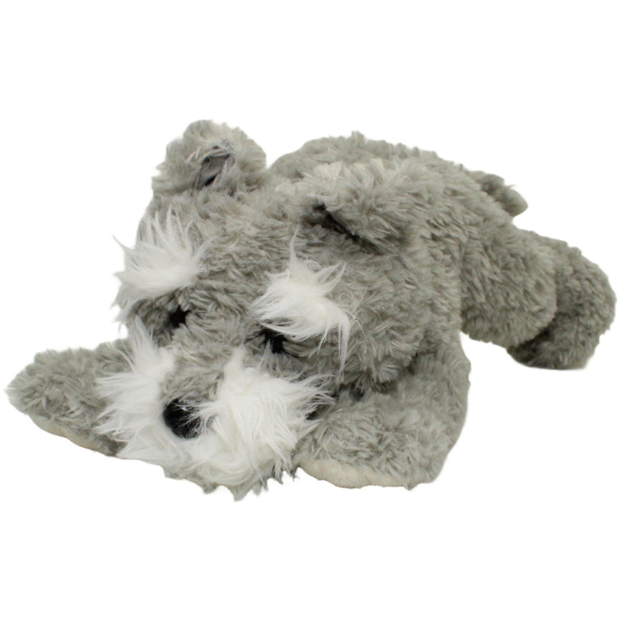 Hübscher Schnauzer, liegend