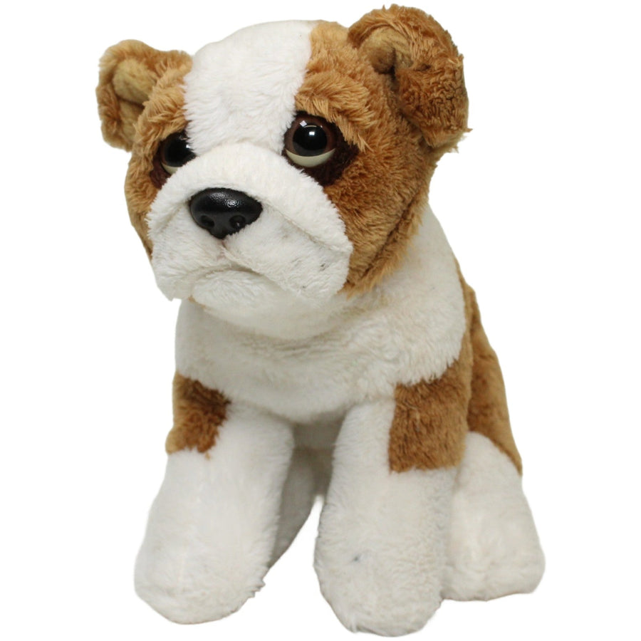 Leosco, Französische Bulldogge