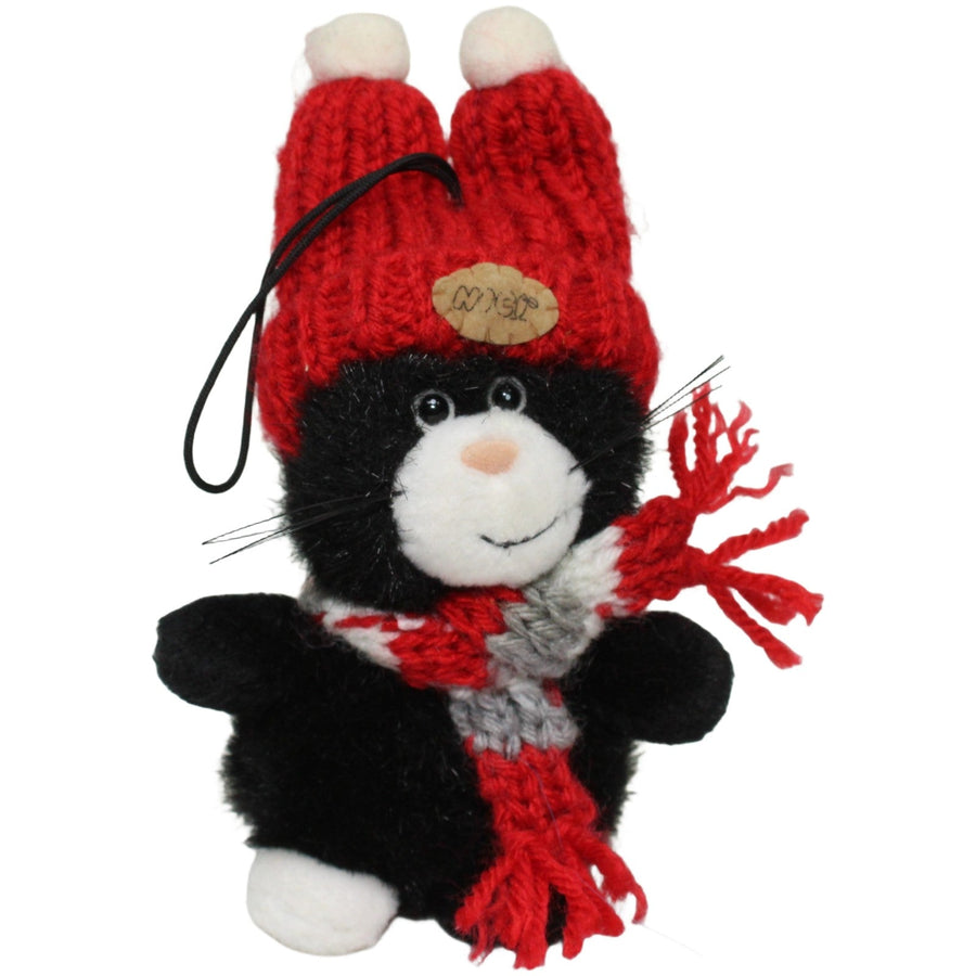 Kleine schwarze Katze mit gestreiftem Schal & roter Mütze