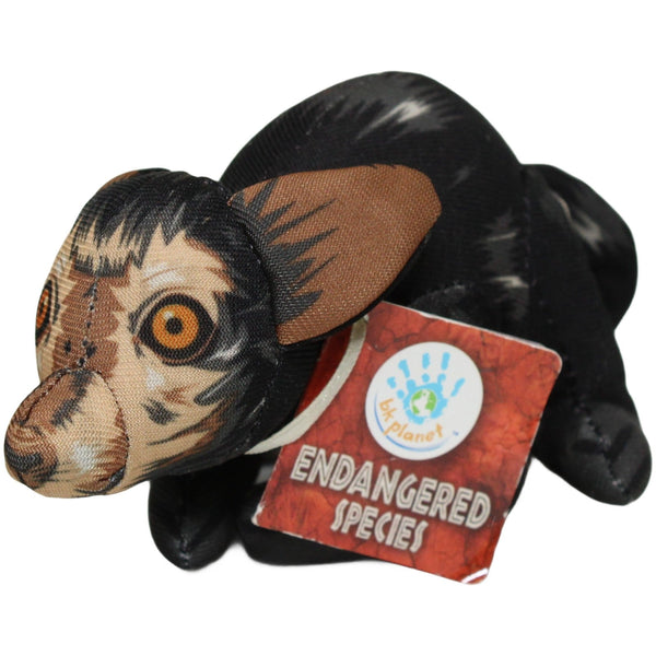 Endangered Species, Aye-Aye