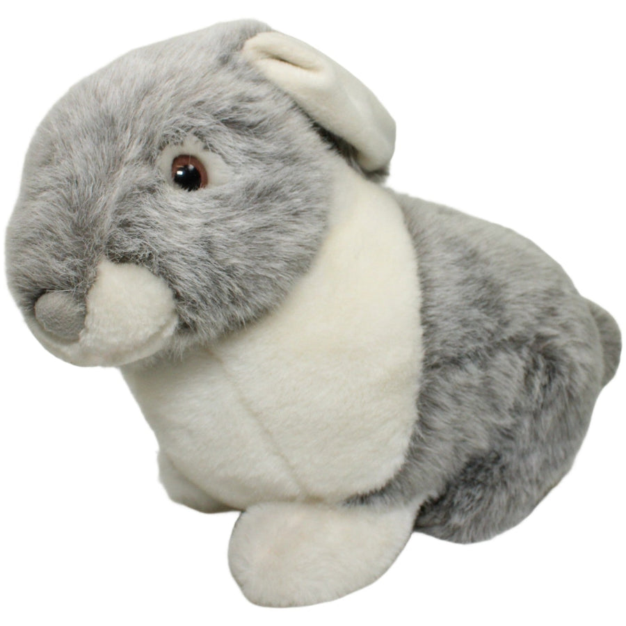 Schönes XL Kaninchen, grau-weiß