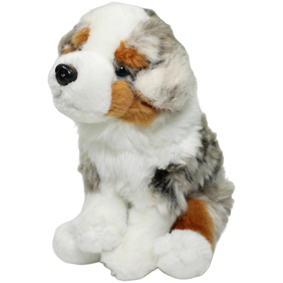 Australian Shepherd Welpe