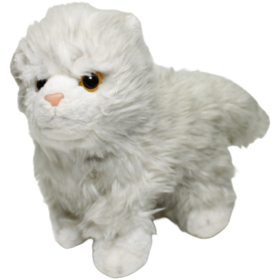 Mein bester Freund, graue Langhaarkatze