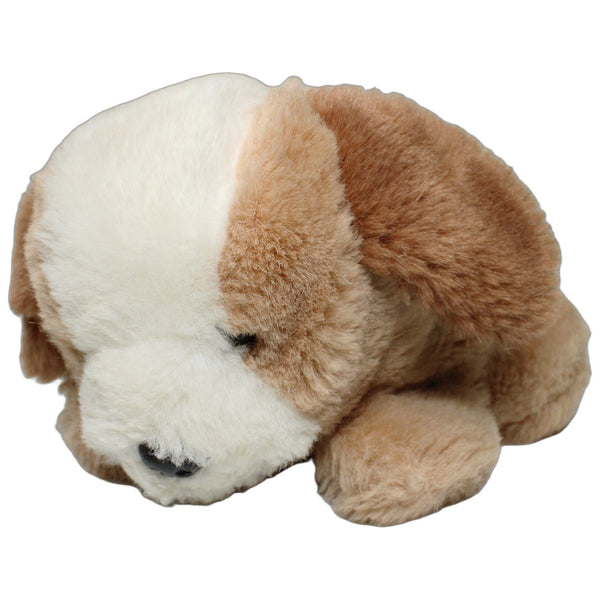 Süßer Hund, liegend