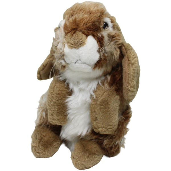 Brauner Hase mit weißer Blesse, stehend