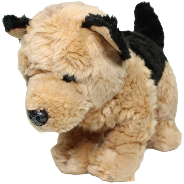 Süßer Schäferhund Welpe