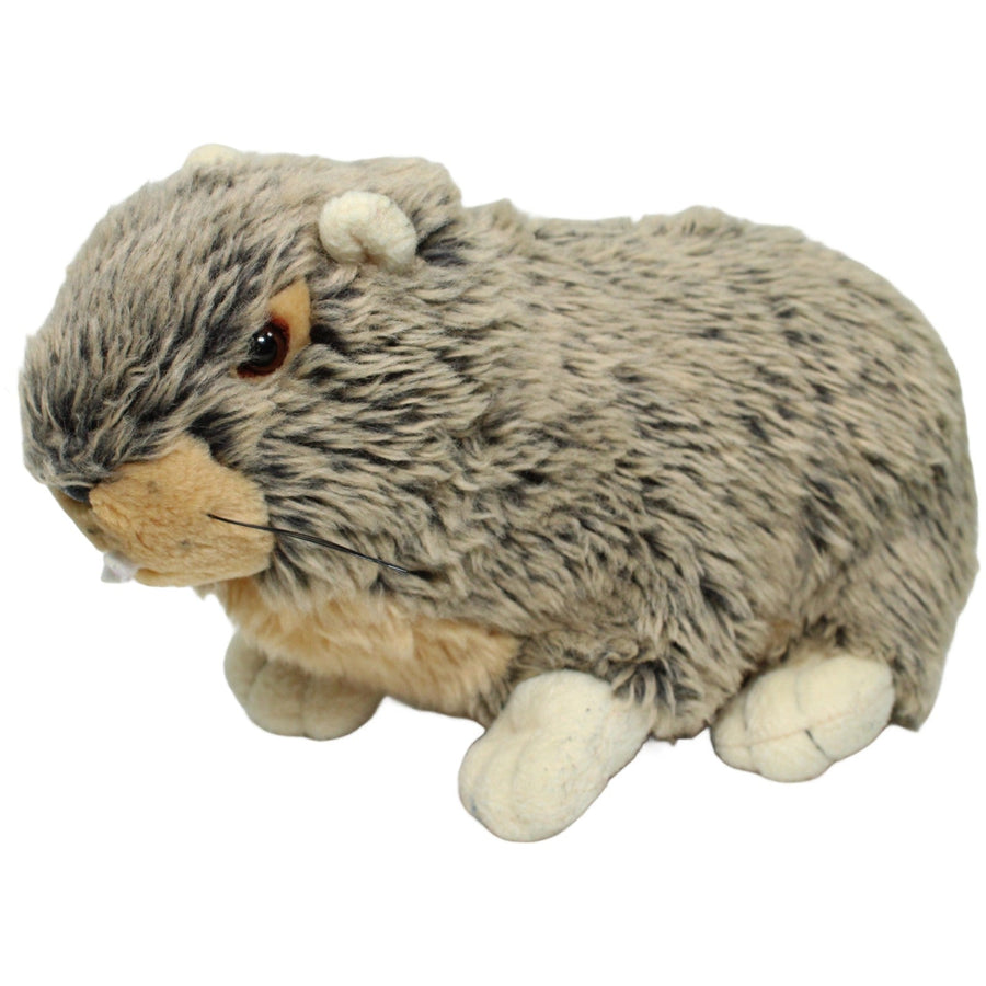 Süßes Murmeltier