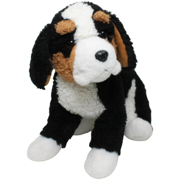 Süßer Berner Sennenhund Welpe