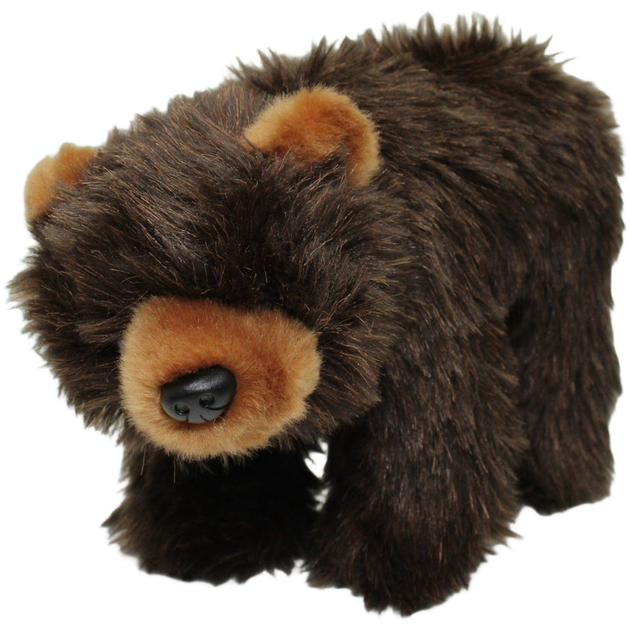 Hübscher Braunbär