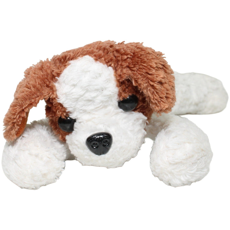 Süßer Schlenker Hund, weiß-braun