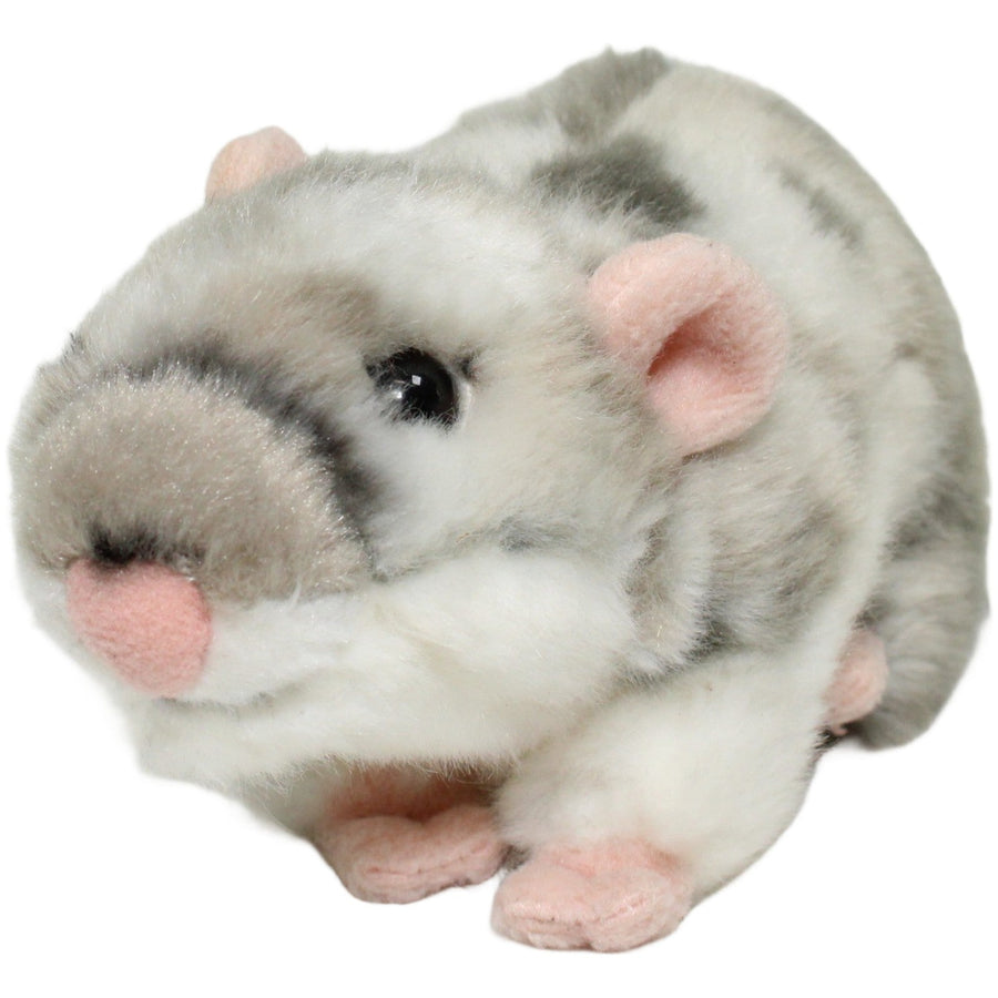 Hamster, weiß-grau